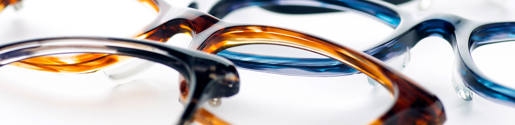 福井・鯖江 セル枠